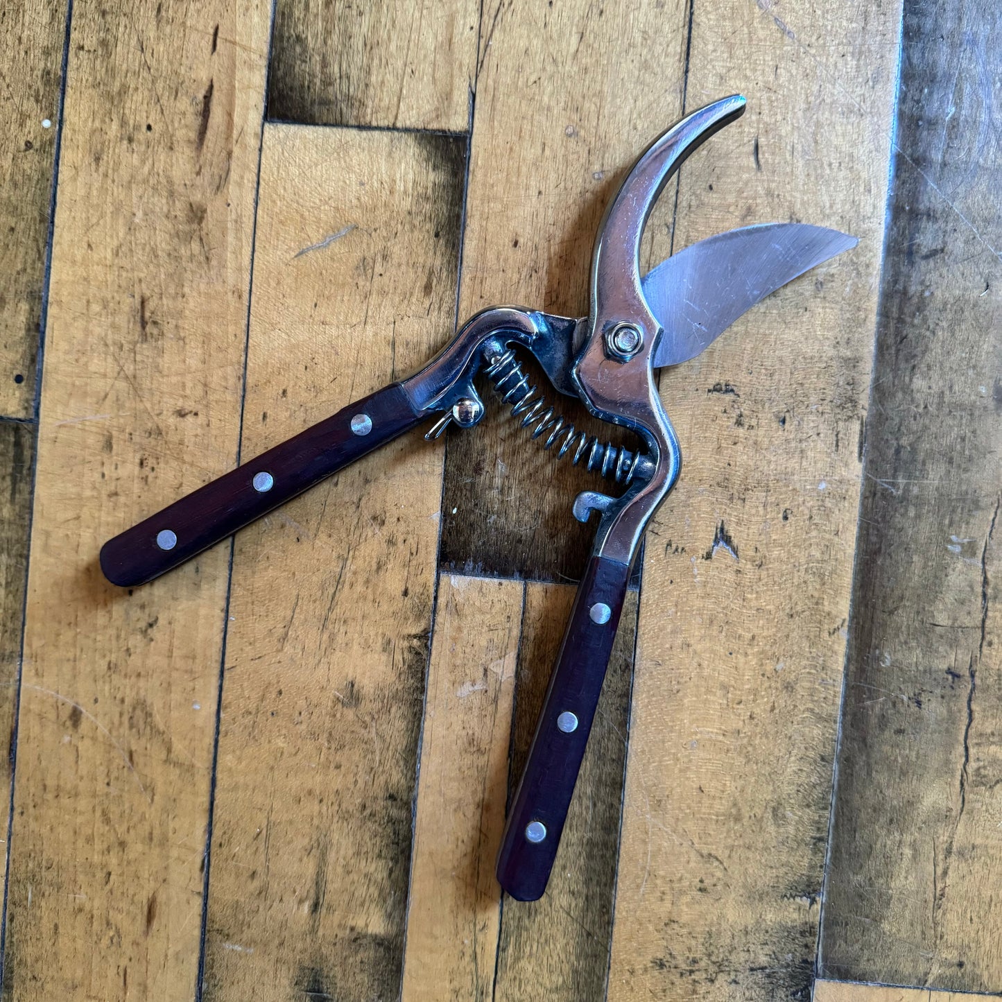Thai Kitchen & Garden Shears