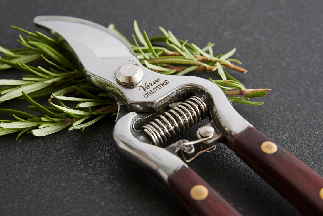Thai Kitchen & Garden Shears