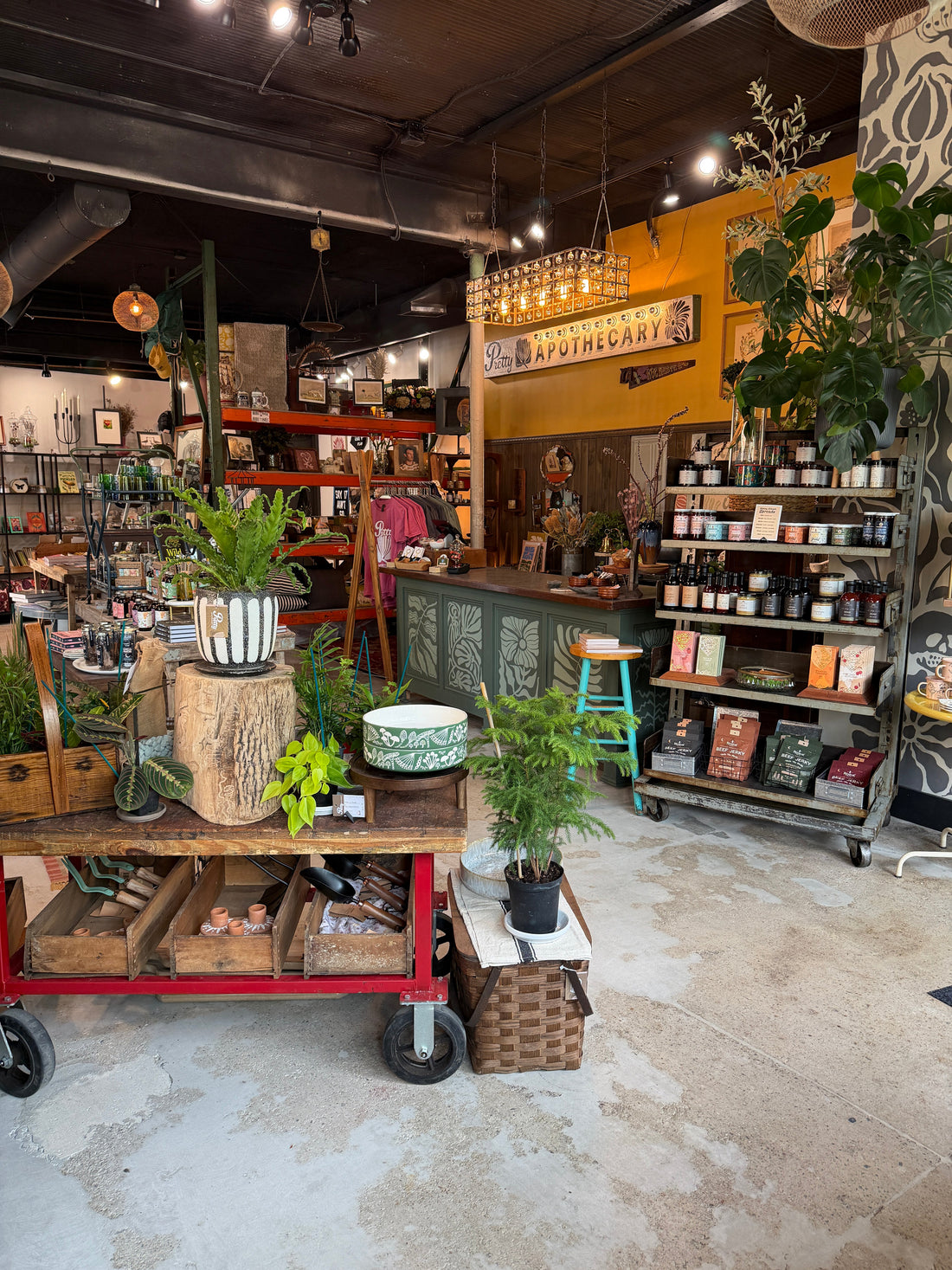 Welcome to the Cabinet of Curiosities